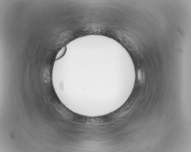 X0000115241203200911271836