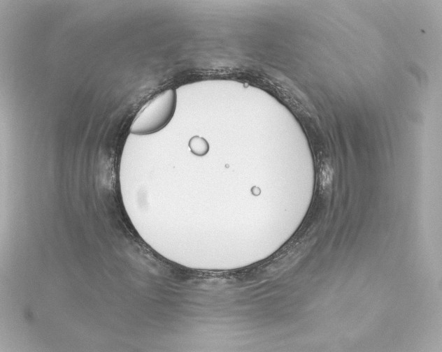 X0000115241204200911271836