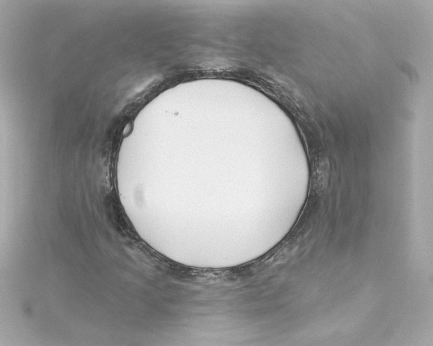 X0000115241205200911271836