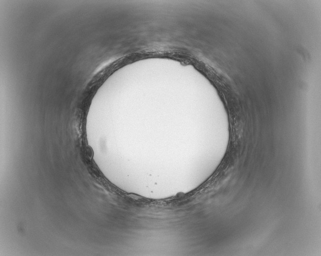 X0000115241206200911271836