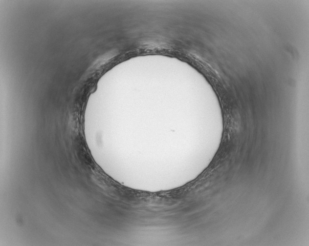 X0000115241207200911271836