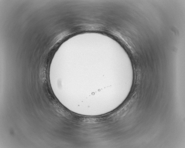 X0000115241211200911271836