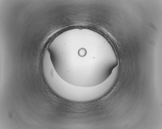 X0000115241215200911271836