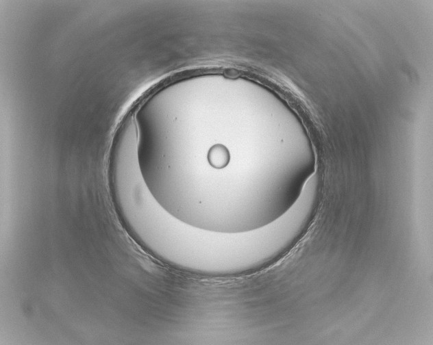 X0000115241216200911271836