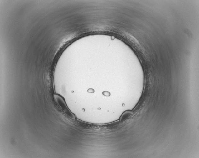 X0000115241218200911271836