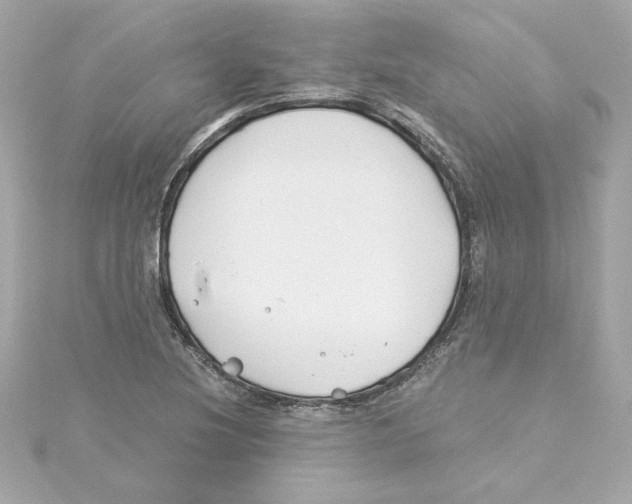 X0000115241220200911271836