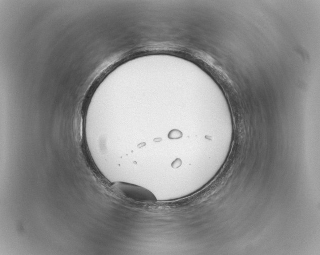 X0000115241221200911271836