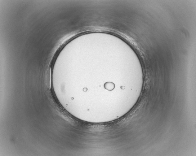 X0000115241223200911271836