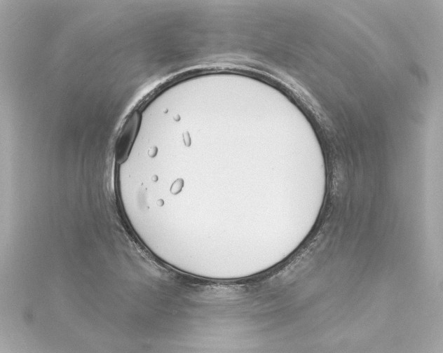 X0000115241224200911271836