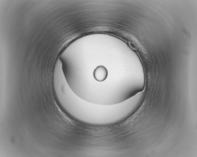 X0000115241225200911271836