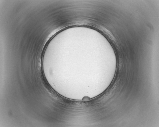 X0000115241226200911271836