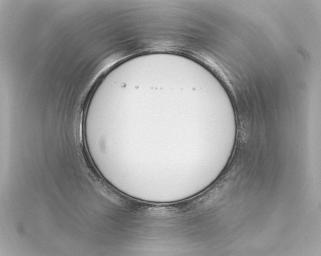 X0000115241227200911271836