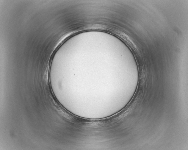 X0000115241228200911271836