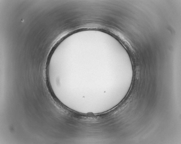 X0000115241229200911271836