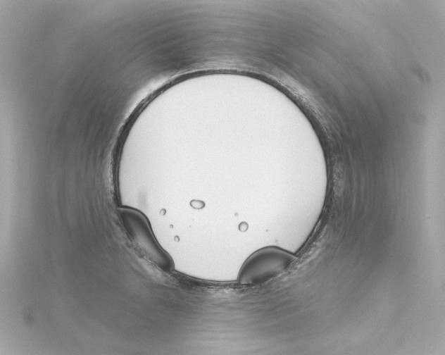 X0000115241230200911271836