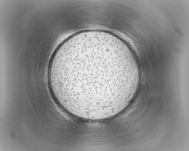 X0000115241231200911271836