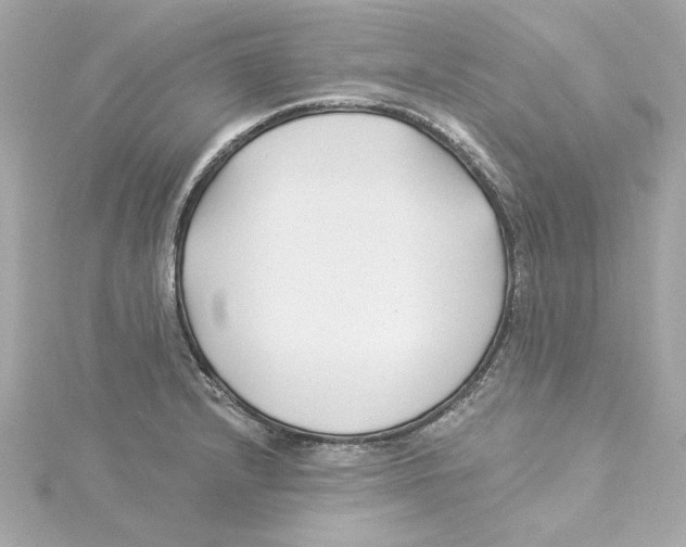 X0000115241232200911271836