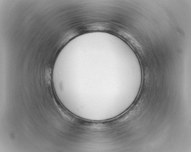 X0000115241233200911271836