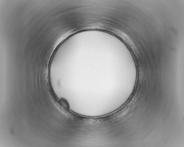 X0000115241234200911271836