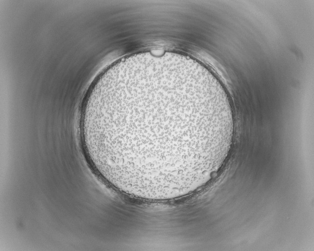 X0000115241235200911271836