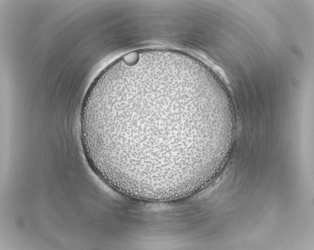 X0000115241239200911271836