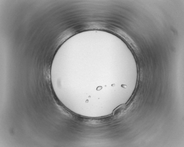 X0000115241241200911271836