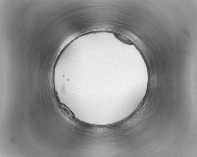 X0000115241242200911271836