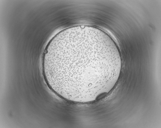 X0000115241243200911271836