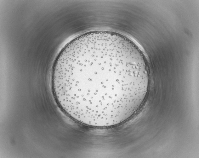 X0000115241245200911271836