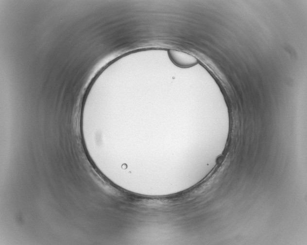 X0000115241246200911271836