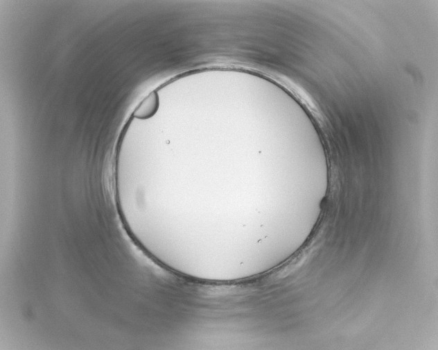 X0000115241247200911271836