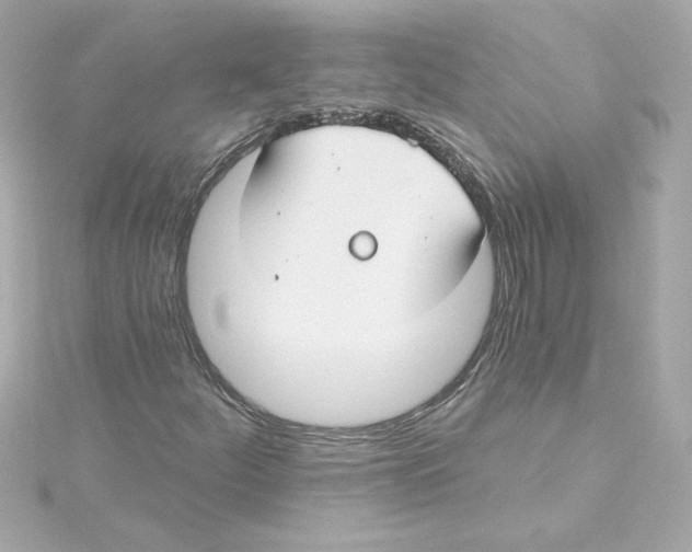 X0000115241252200911271836