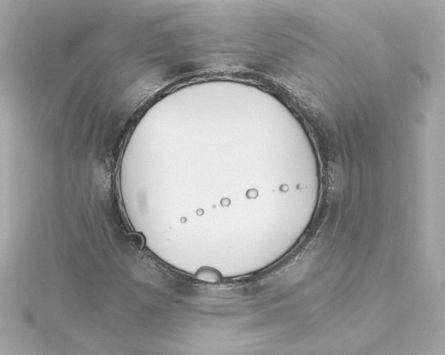 X0000115241257200911271836