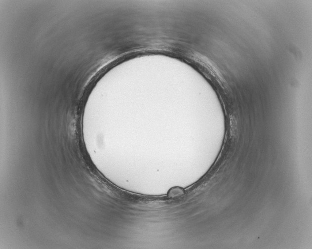 X0000115241260200911271836