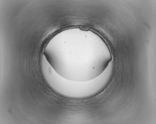 X0000115241261200911271836