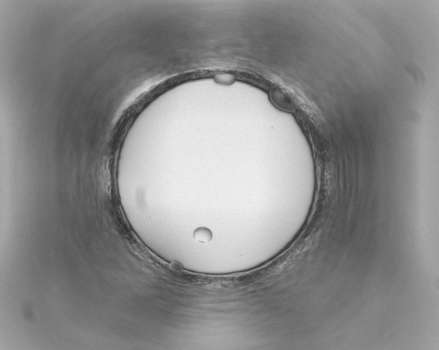 X0000115241262200911271836