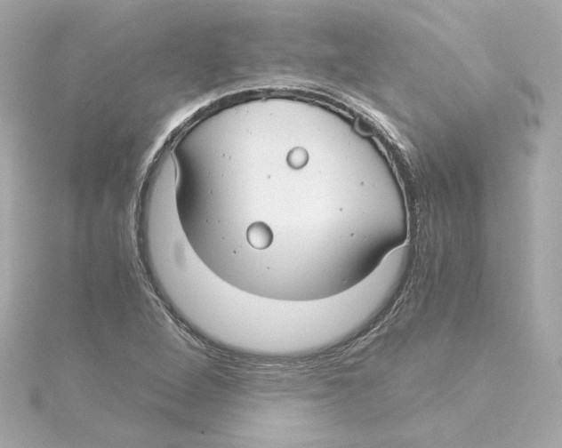 X0000115241264200911271836