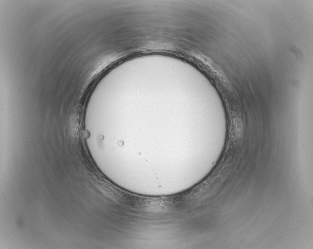 X0000115241266200911271836