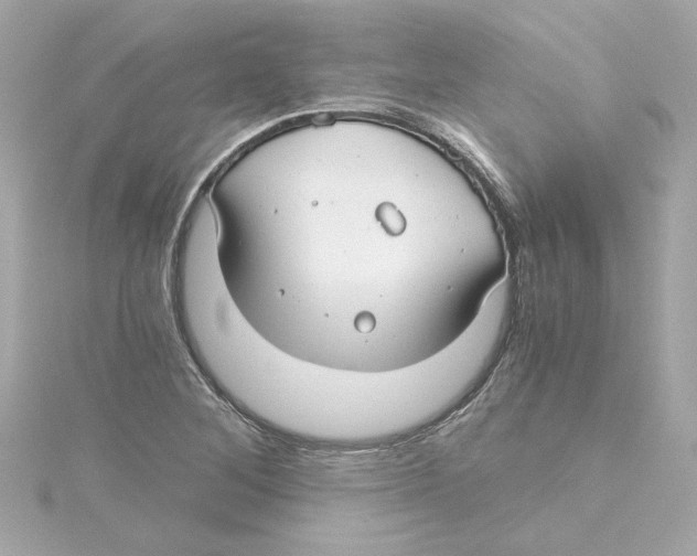 X0000115241268200911271835