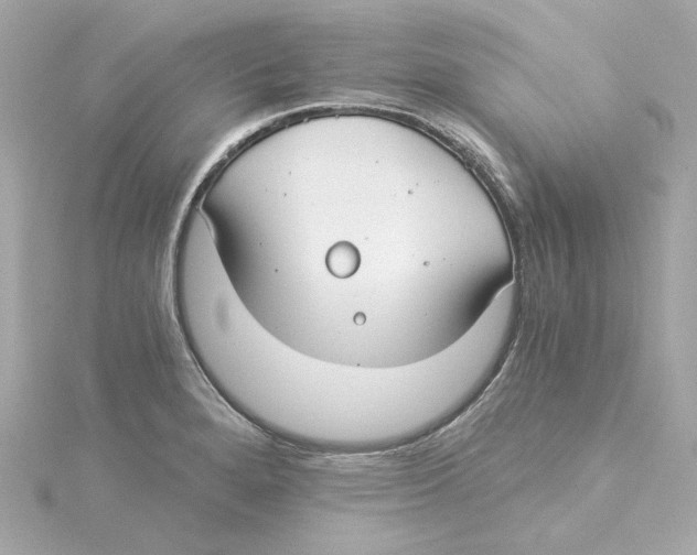 X0000115241280200911271835