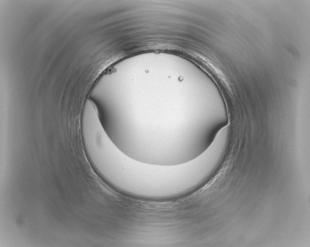 X0000115241281200911271835