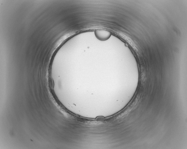 X0000115241282200911271835