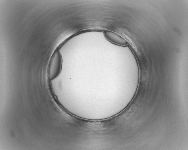 X0000115241285200911271835