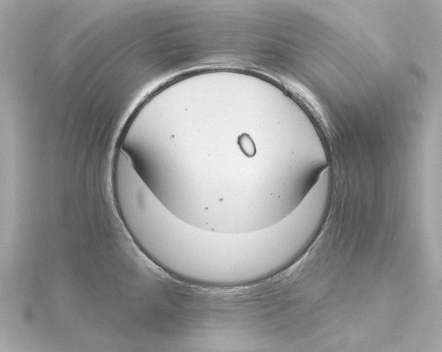 X0000115241288200911271835