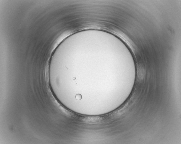 X0000115241290200911271835