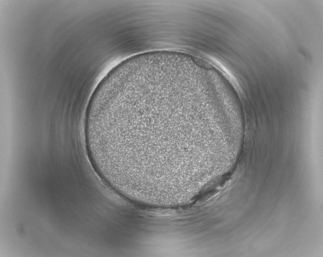 X0000115241291200911271835