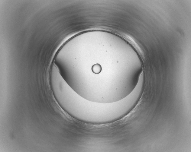 X0000115241292200911271835