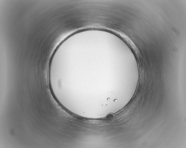 X0000115241295200911271835