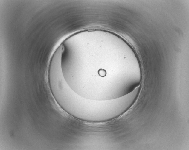 X0000115241296200911271835