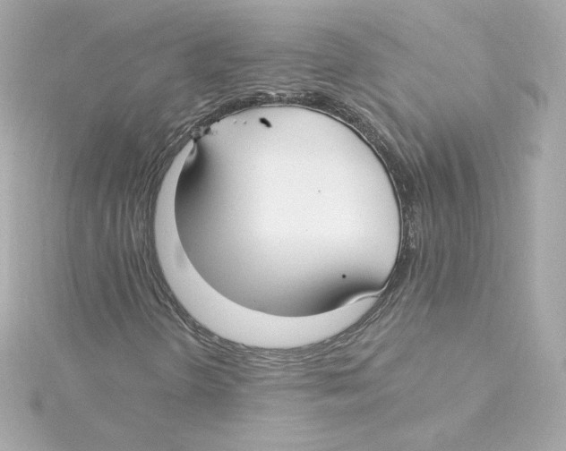 X0000115241298200911271835